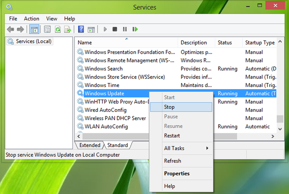 Start type. Windows service WPF.