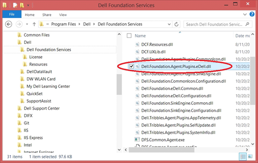 Agents plugin. System interface Foundation. Dell Foundation software. Программа share.